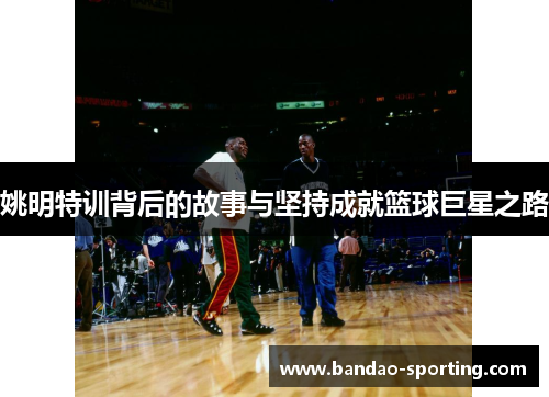 姚明特训背后的故事与坚持成就篮球巨星之路